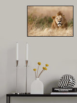 Handsome! Poster och Canvastavla