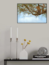 Deadly Focus Poster och Canvastavla