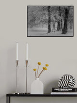 Transformation Poster och Canvastavla