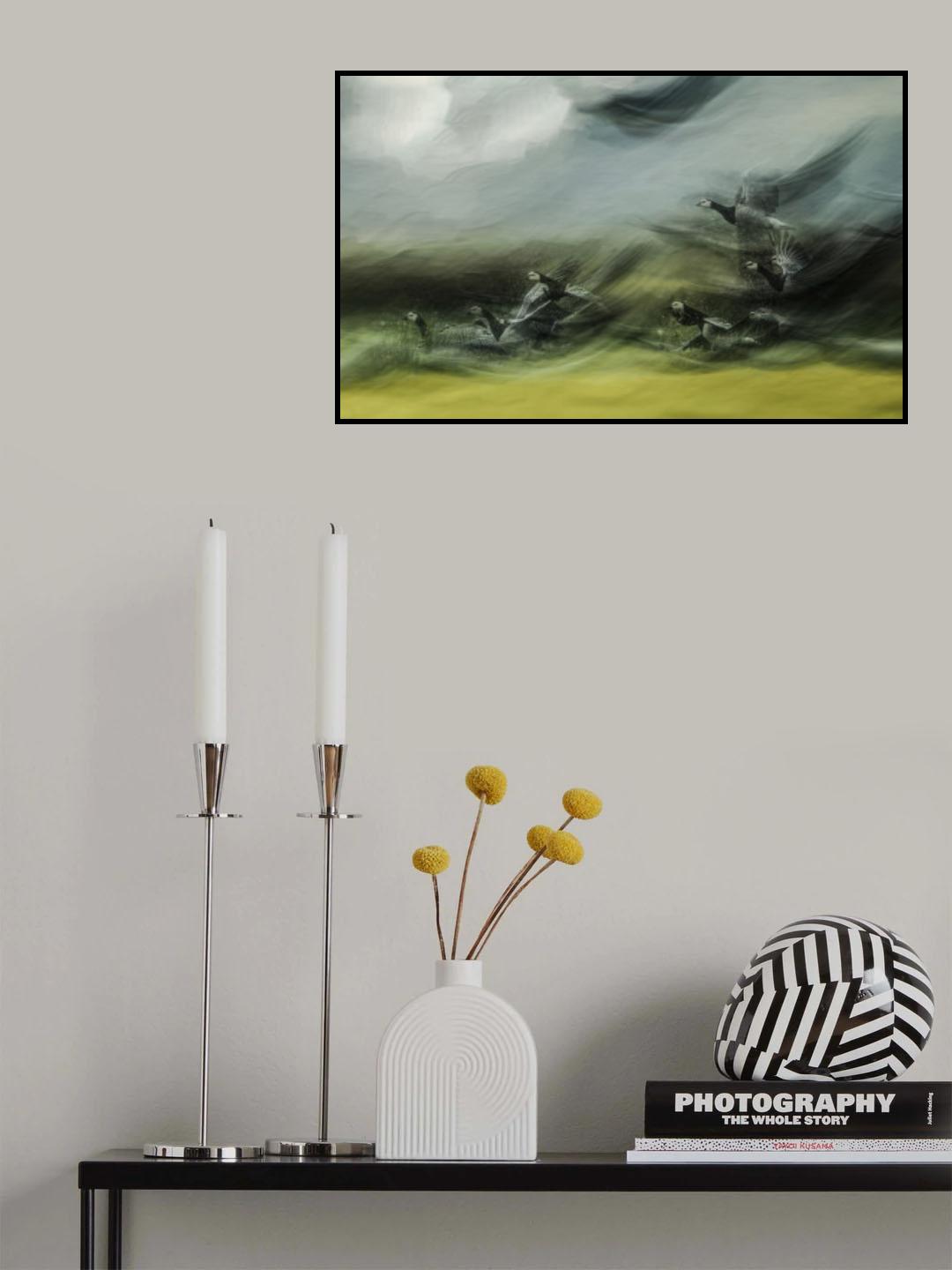 Barnacle Geese Poster och Canvastavla