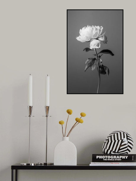 Peony BW Poster och Canvastavla