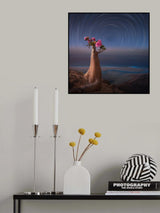 Desert Rose Poster och Canvastavla