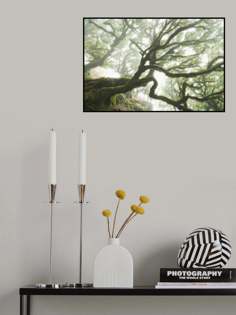 Magic Moment Poster och Canvastavla