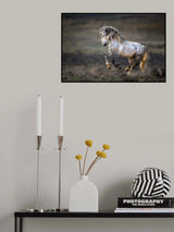 Wild Wild West Poster och Canvastavla