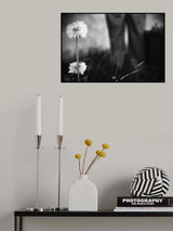 Poster och Canvastavla