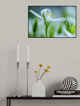 Emerging Poster och Canvastavla
