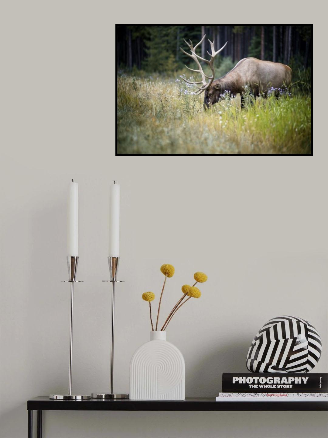 The Elk Poster och Canvastavla