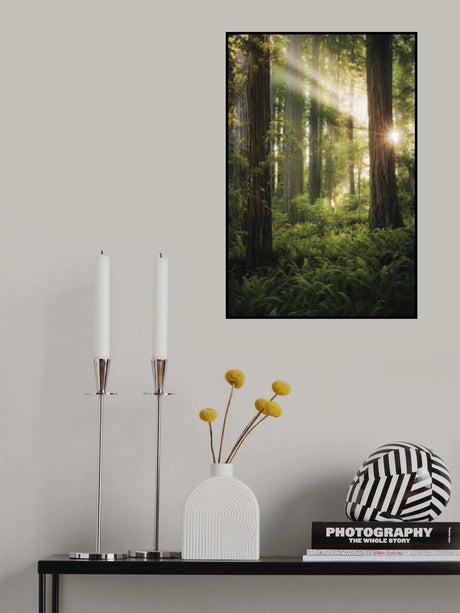 Fairy Forest Poster och Canvastavla