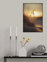 Evening Sun At The Beach Poster och Canvastavla