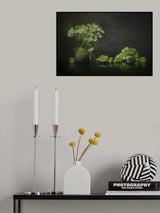 Chrysanthemum and Grape Poster och Canvastavla