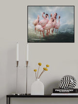 Lesser Flamingo Summit Poster och Canvastavla