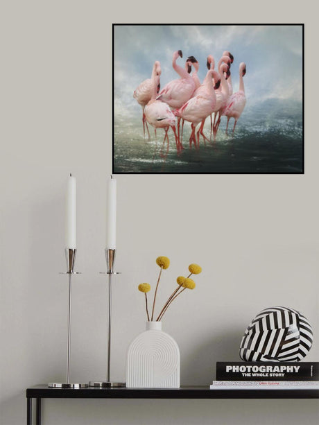 Lesser Flamingo Summit Poster och Canvastavla