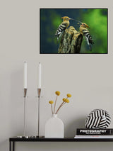 twin Poster och Canvastavla