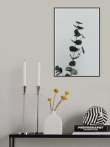 Eucalyptus Natural 10 Poster och Canvastavla
