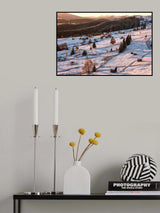 *** Poster och Canvastavla