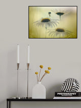 Poster och Canvastavla