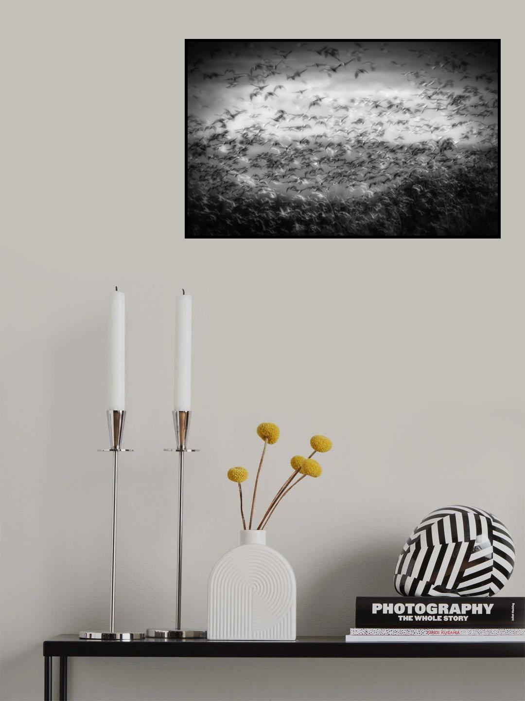 Poster och Canvastavla