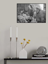 A protected flower Poster och Canvastavla