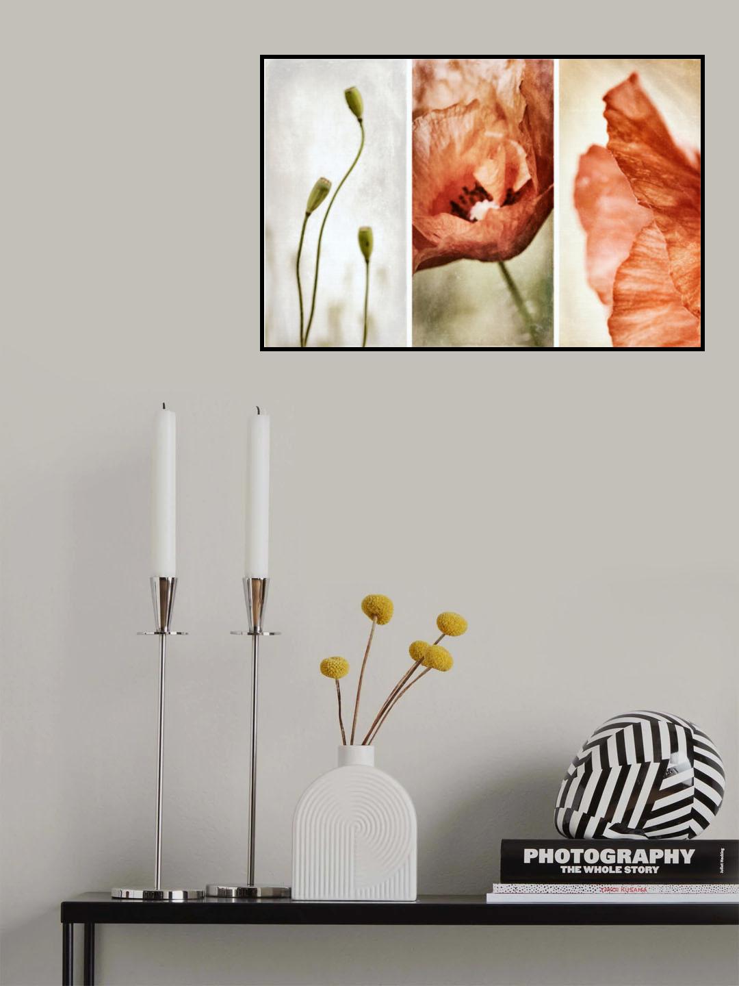 Poster och Canvastavla