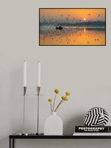 Dawn Chorus Poster och Canvastavla