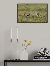 Hunting Poster och Canvastavla