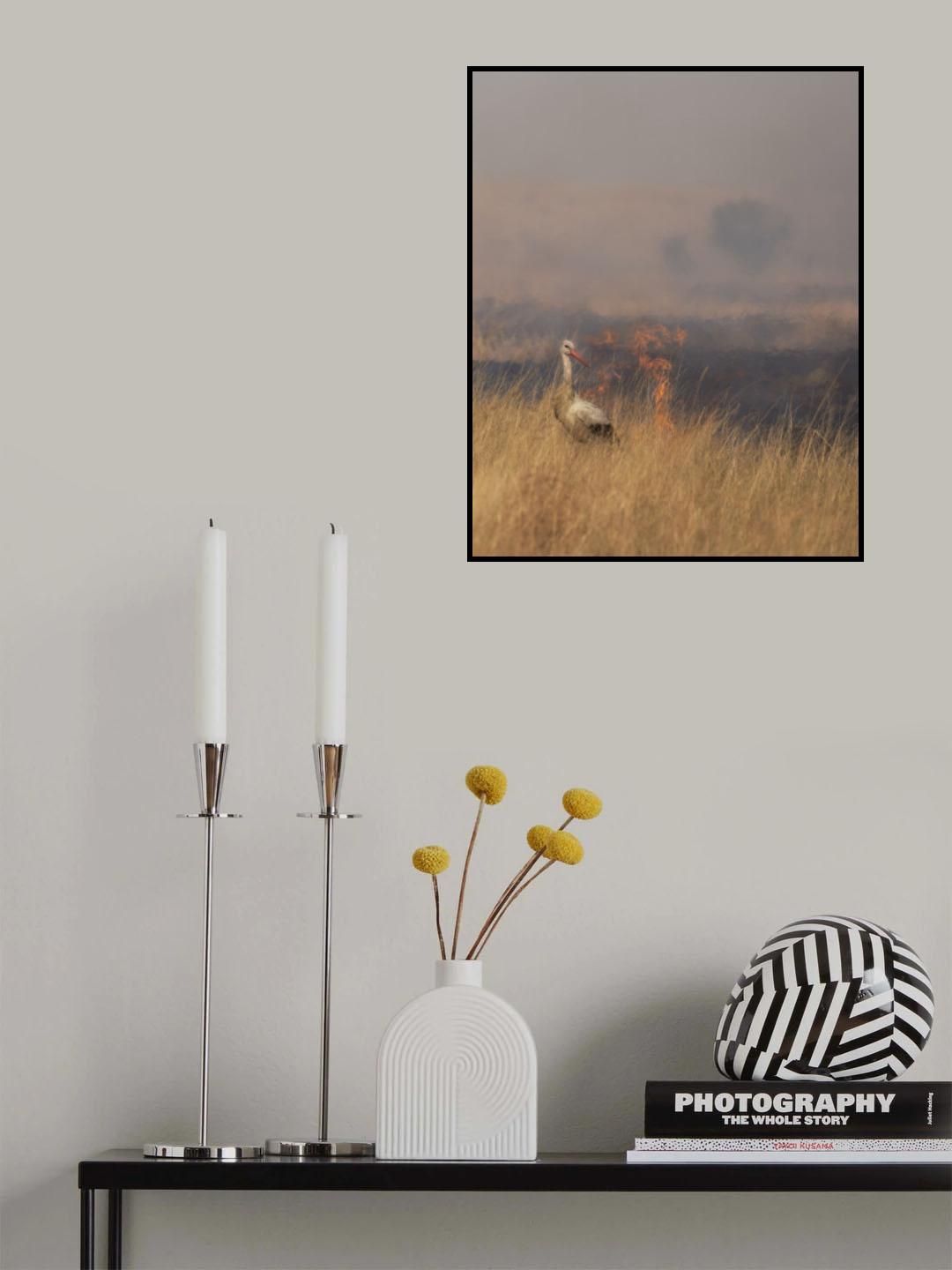 Savannah Burning Poster och Canvastavla