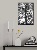 Japanese Garden 03 Poster och Canvastavla