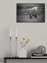 Dust is almost as good as water Poster och Canvastavla