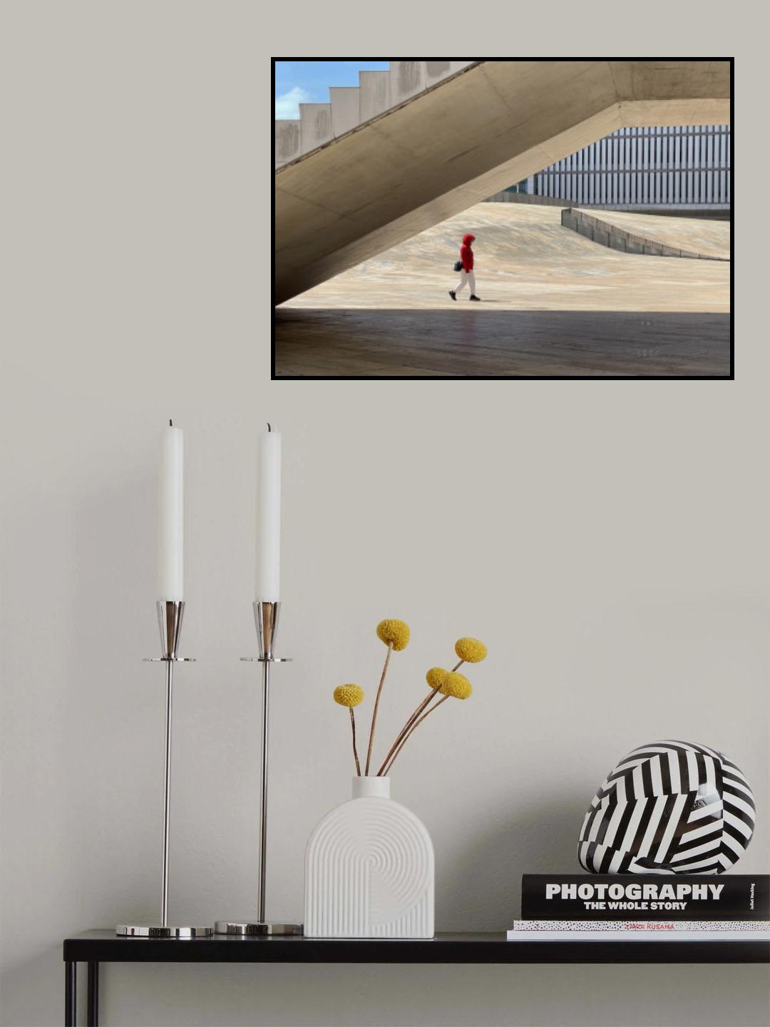 Lady in Red Poster och Canvastavla