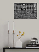 Struggle for Existance Poster och Canvastavla