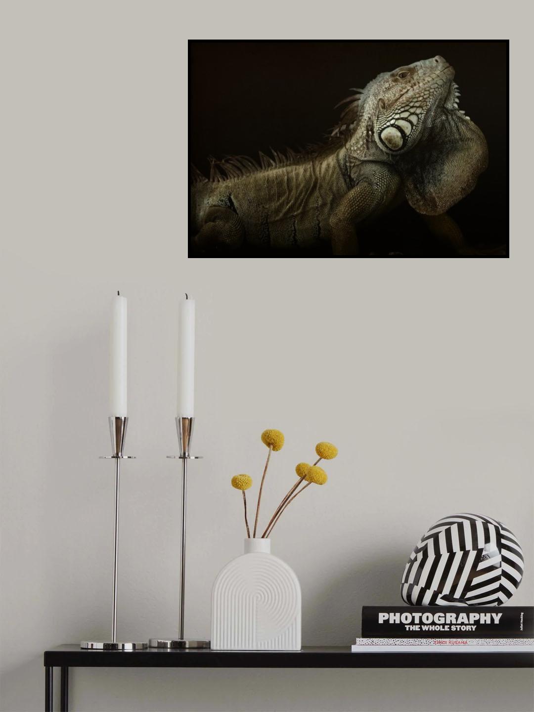 Iguana profile Poster och Canvastavla