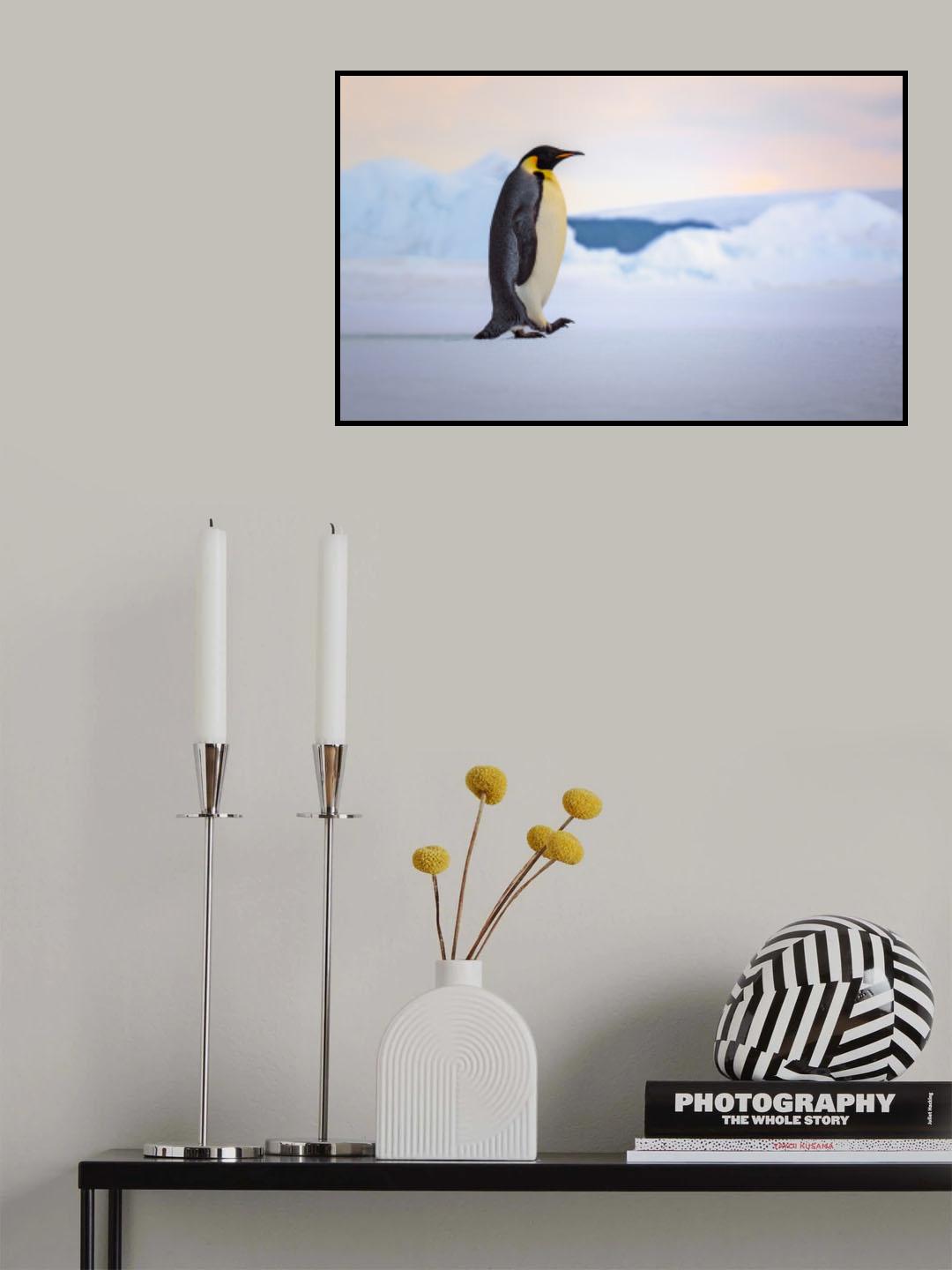 Happy Feet Poster och Canvastavla
