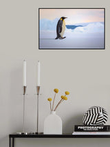 Happy Feet Poster och Canvastavla