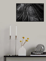 Shackle Poster och Canvastavla