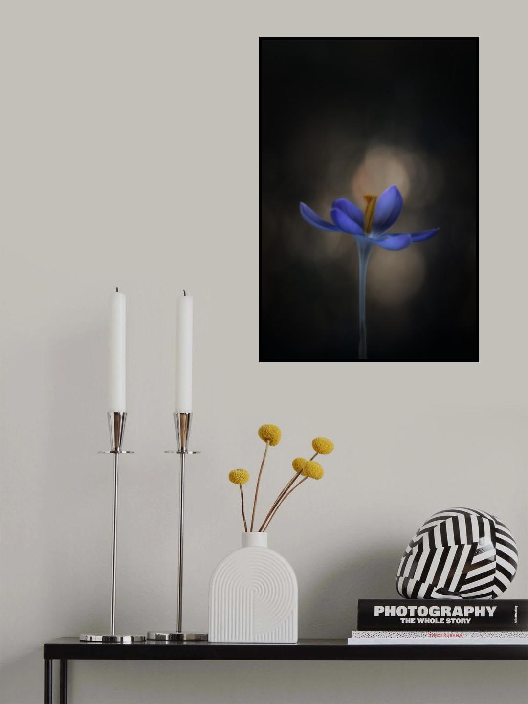 Crocus Poster och Canvastavla