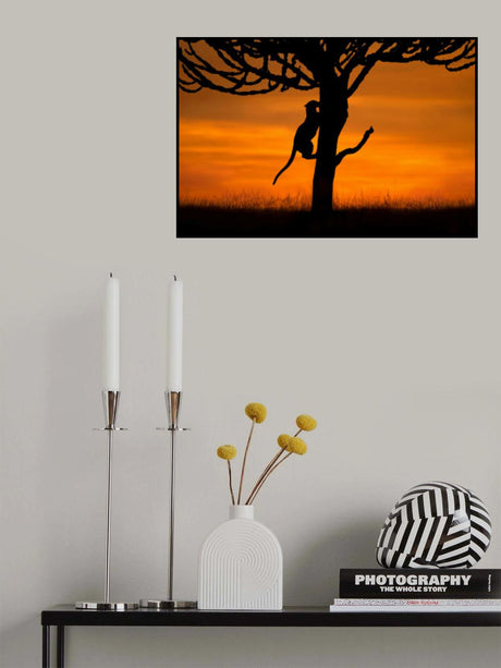 Back home Poster och Canvastavla