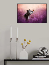 Gentle Poster och Canvastavla
