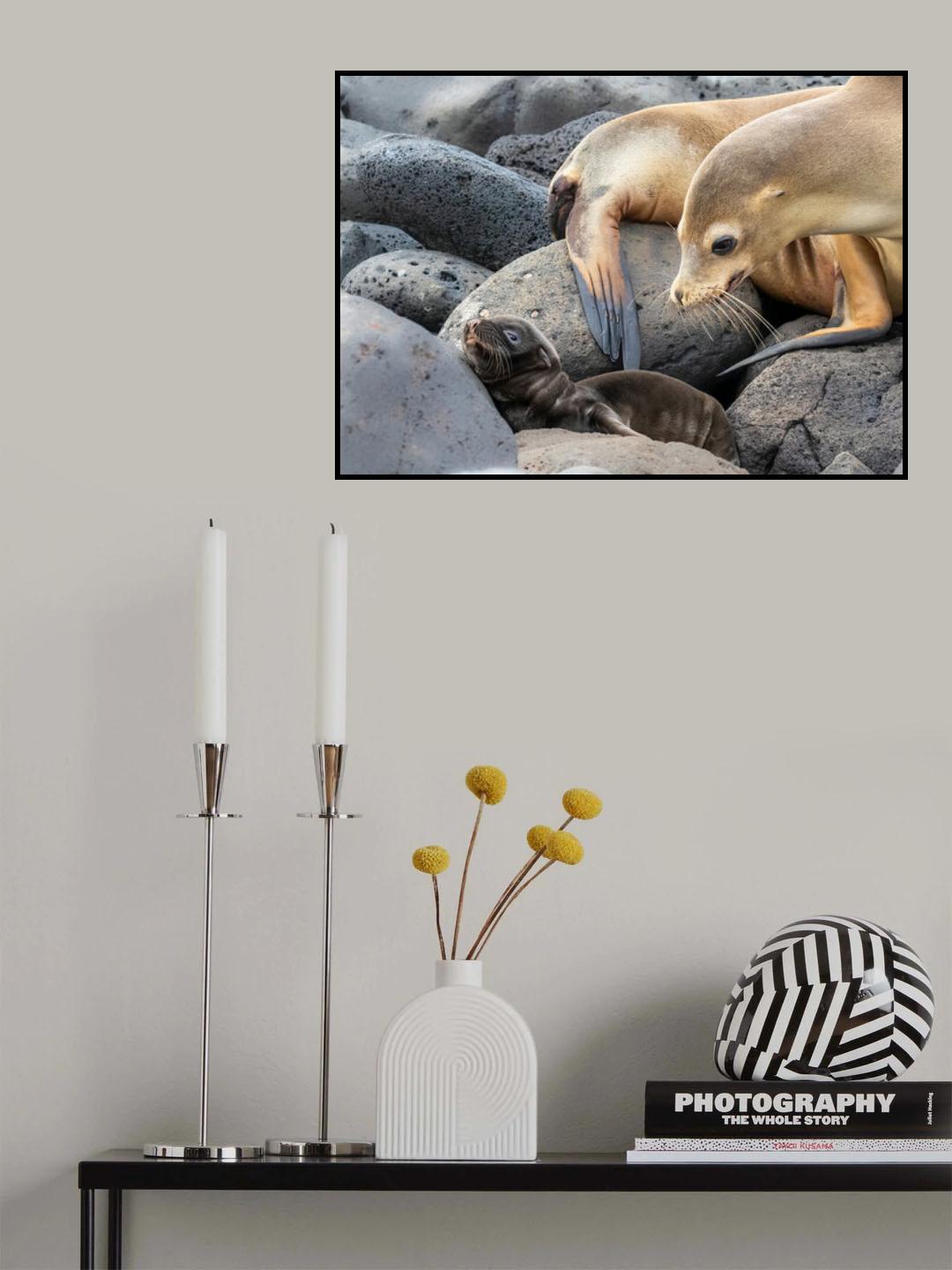 Mother and baby Poster och Canvastavla
