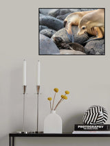 Mother and baby Poster och Canvastavla