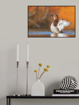 A beat at dawn Poster och Canvastavla