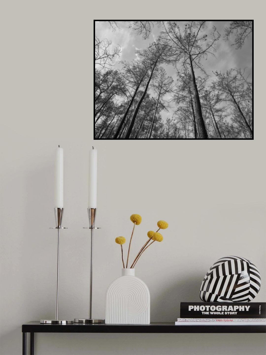 burnt trees and sky background Poster och Canvastavla