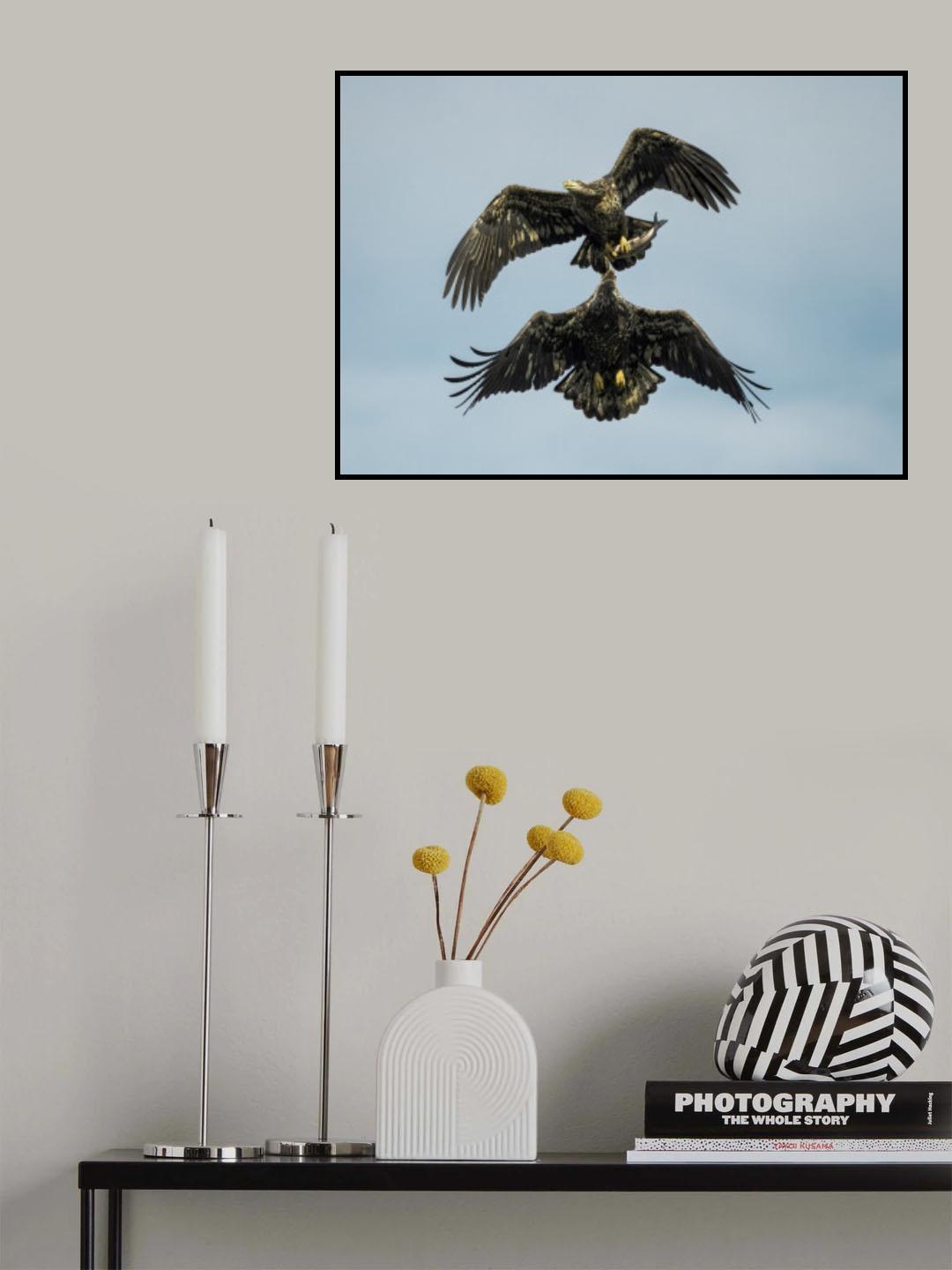 Battle in the air Poster och Canvastavla