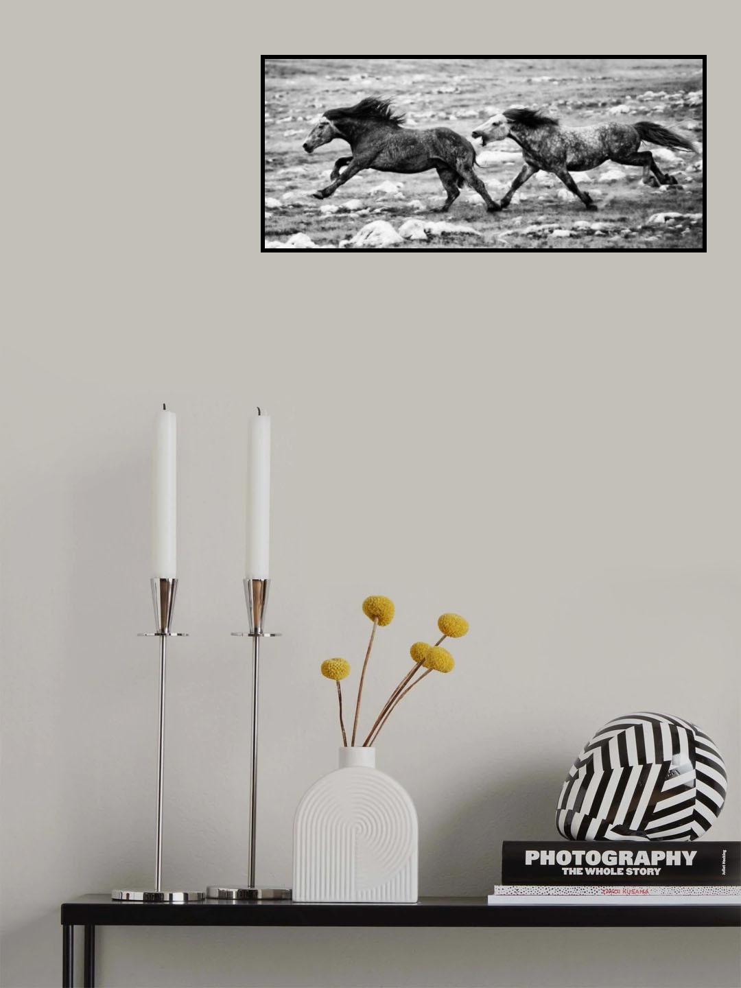 Chase Poster och Canvastavla