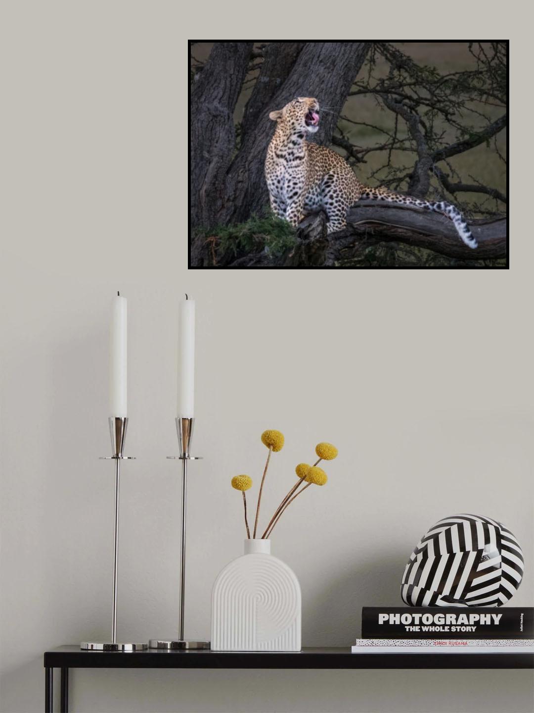 Leopard Poster och Canvastavla