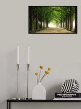 Metasequoia Road Poster och Canvastavla