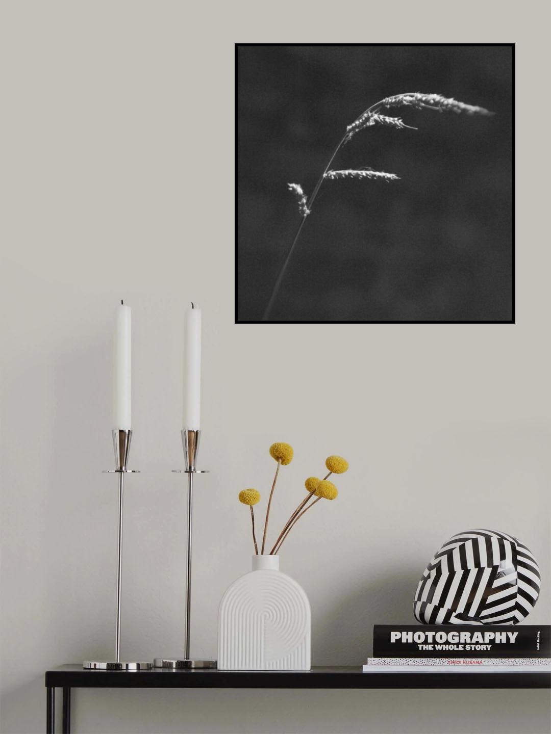 Poster och Canvastavla