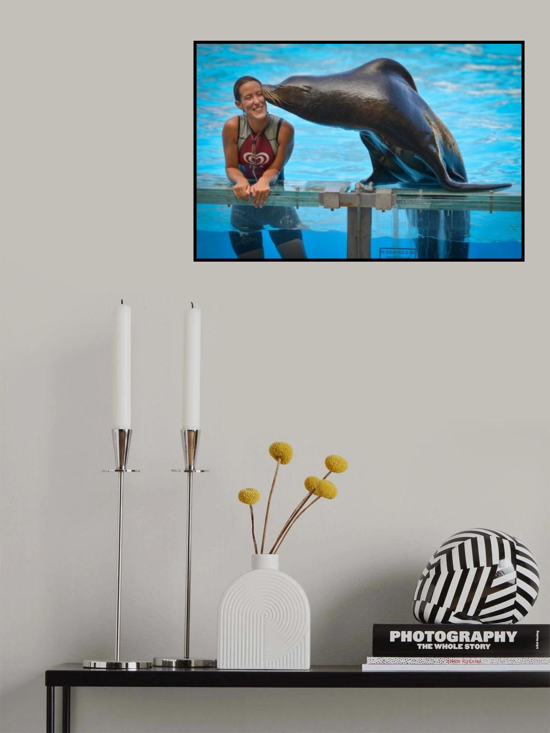 Sea Lion Love Poster och Canvastavla