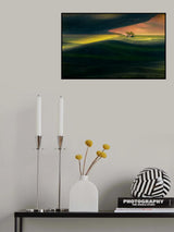 Twin Trees In Palouse Poster och Canvastavla