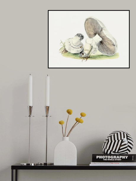 Hand Drawn Horse Mushroom Poster och Canvastavla