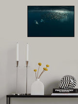 Team work (Dolphins chasing Baitball) Poster och Canvastavla